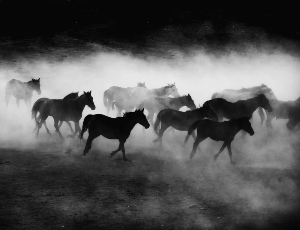 Yilki von Sinem Erdogan