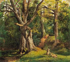 Woodland Scene with Rabbits