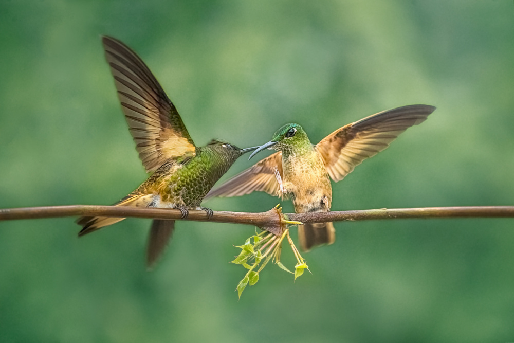 got you von Siyu and Wei Photography