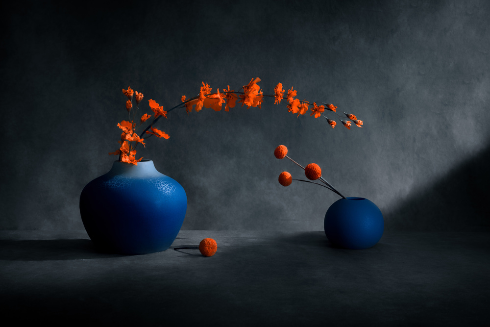 Looking Forward to Spring von Siyu and Wei Photography