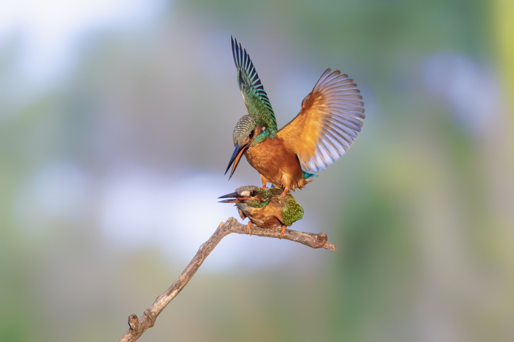 Interaction von Siyu and Wei Photography