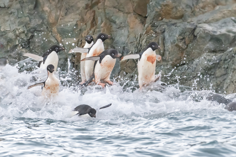 Run to the sea 2 von Siyu and Wei Photography