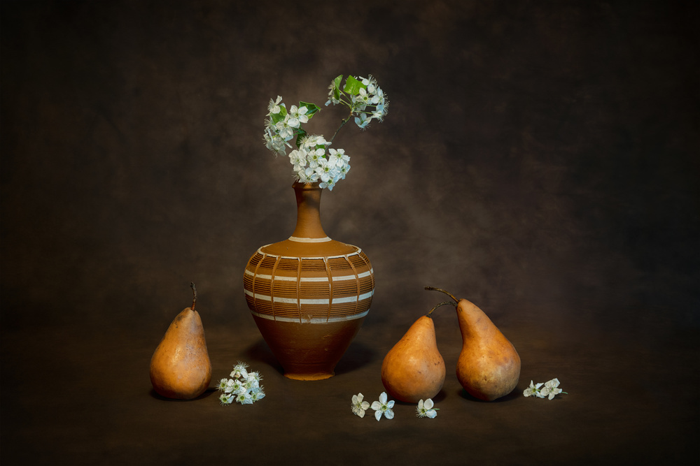 Pears Life Cycle von Siyu and Wei Photography