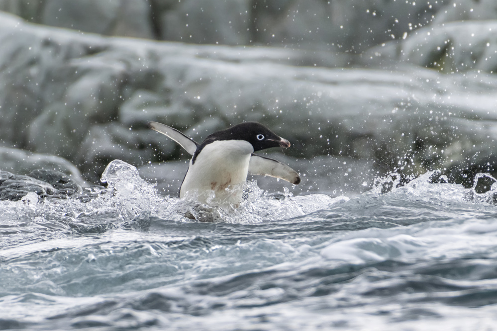 "Where are you?" von Siyu and Wei Photography
