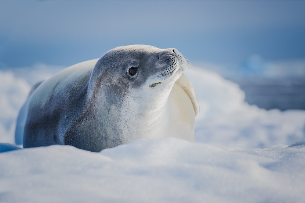 Just wake up von Siyu and Wei Photography