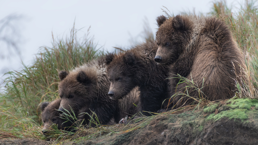 Waiting for Mom von Siyu and Wei Photography