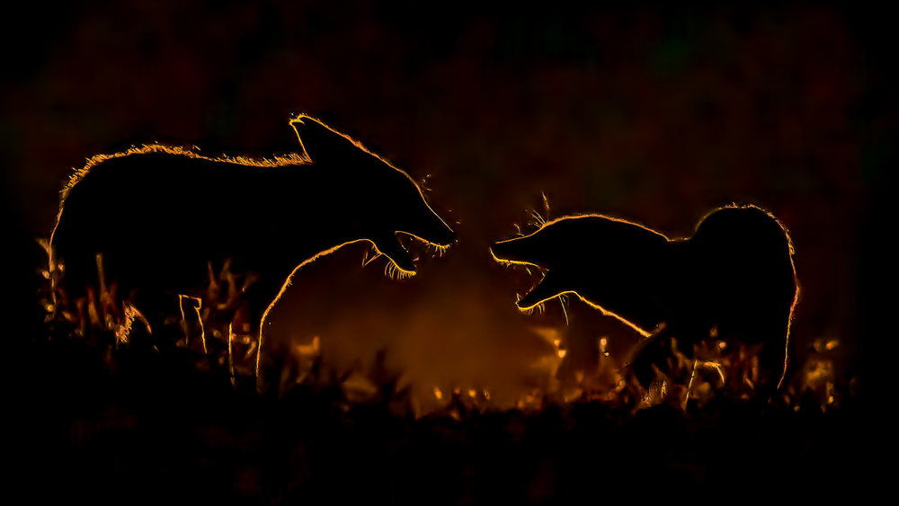 "See you again" von Siyu and Wei Photography