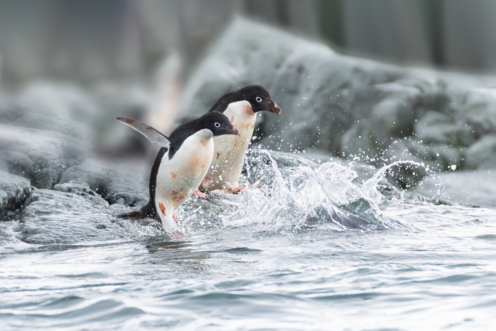 Time to go von Siyu and Wei Photography