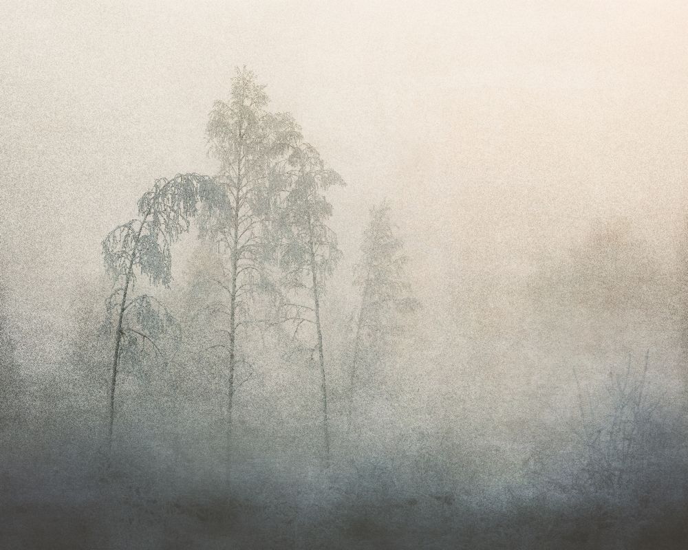 Ohne Titel von Åsmund Kværnstrøm