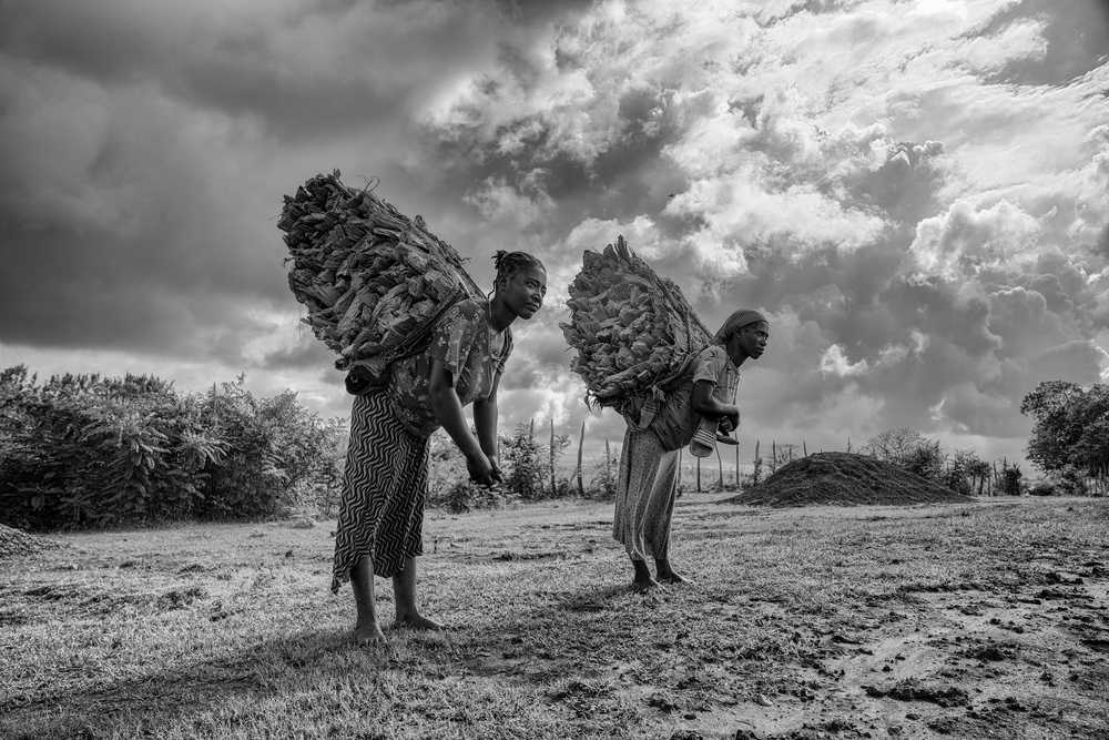 Wonder Woman von Sohel Parvez Haque