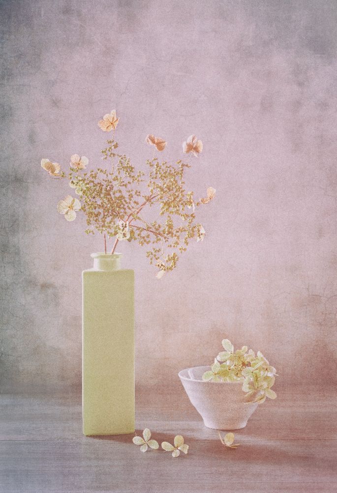 Morgenlicht von Sophie Pan