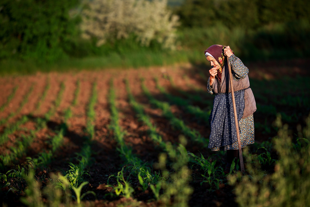 The Shadows of Forgoten Ancestors von Sorin Onisor