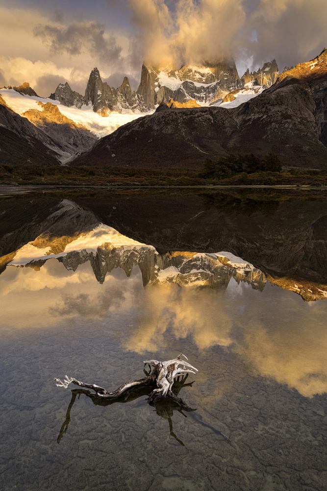 dream von Sorin Tanase