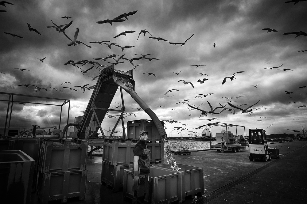 From Hel von Sorin Vidis