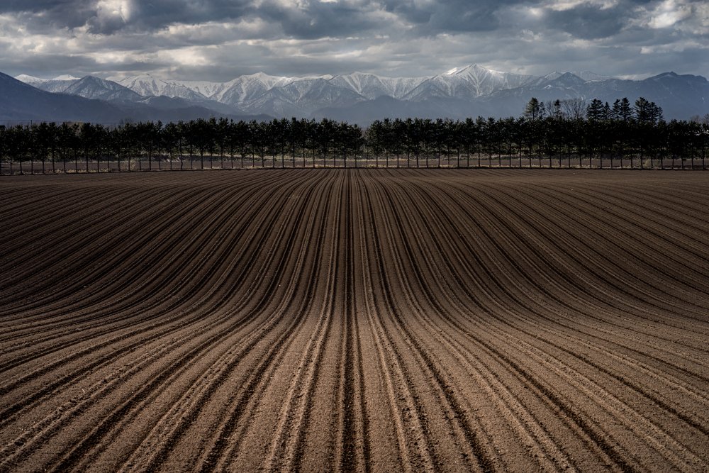 Line wave von Soshin