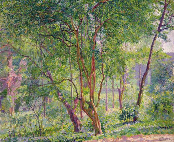 Panshanger Park von Spencer Frederick Gore
