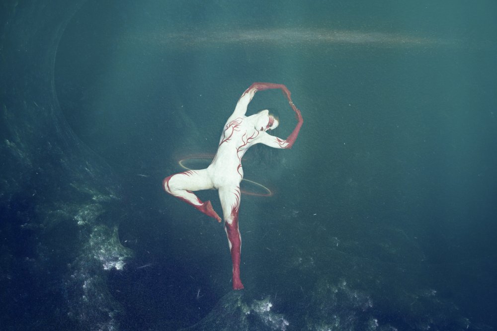 no limits for red swan von Srikanth Gumma