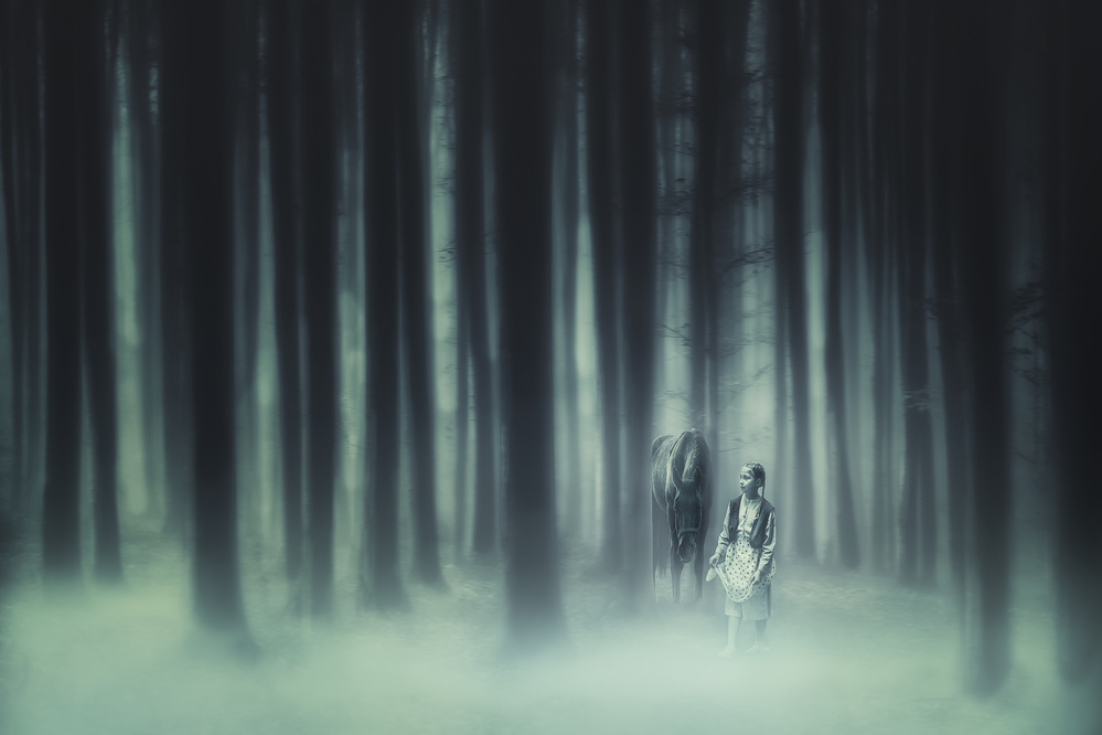 He had forest fairy von Stanislav Hricko