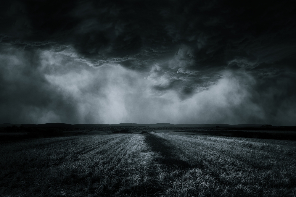 The field von Stefan Eisele