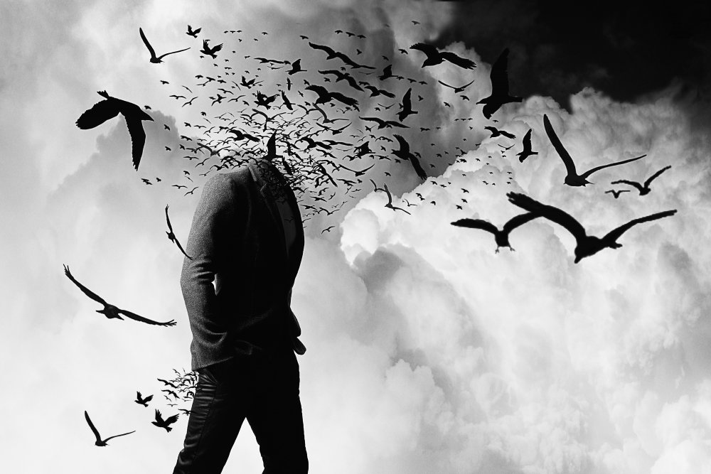 Headless through the day von Stefan Eisele