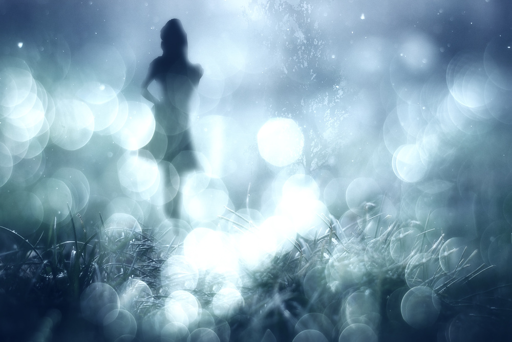 Midsummer  Dreams II von Stefan Eisele