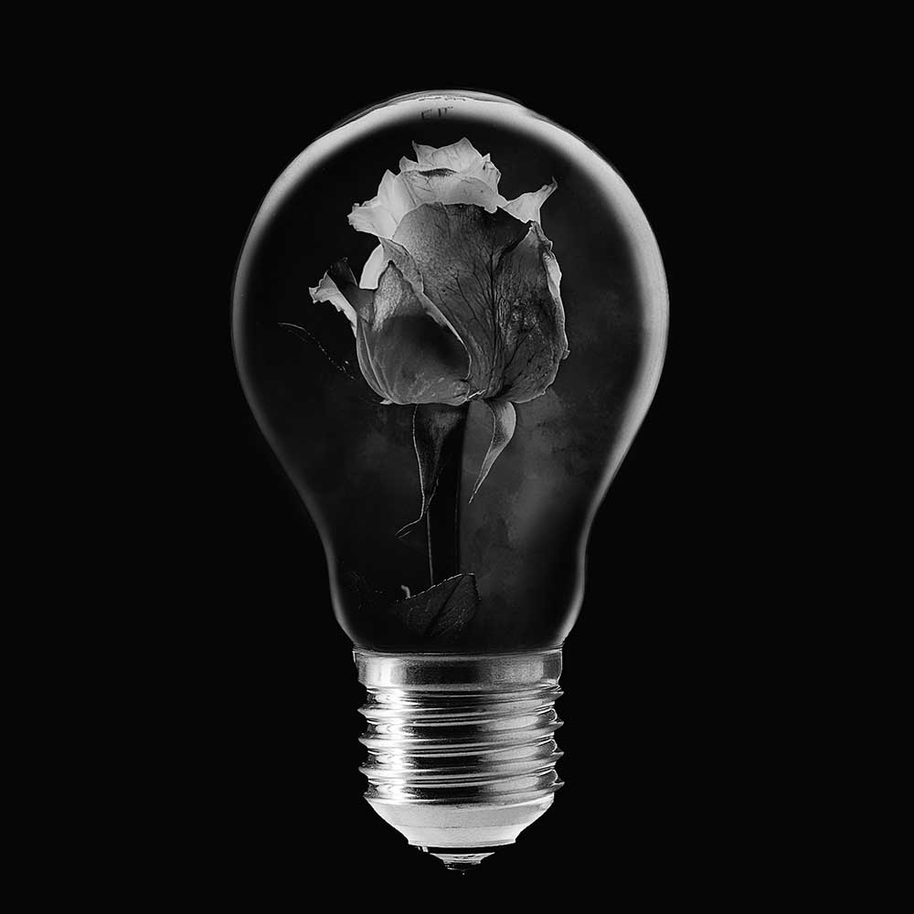 Speichern... von Stefan Eisele