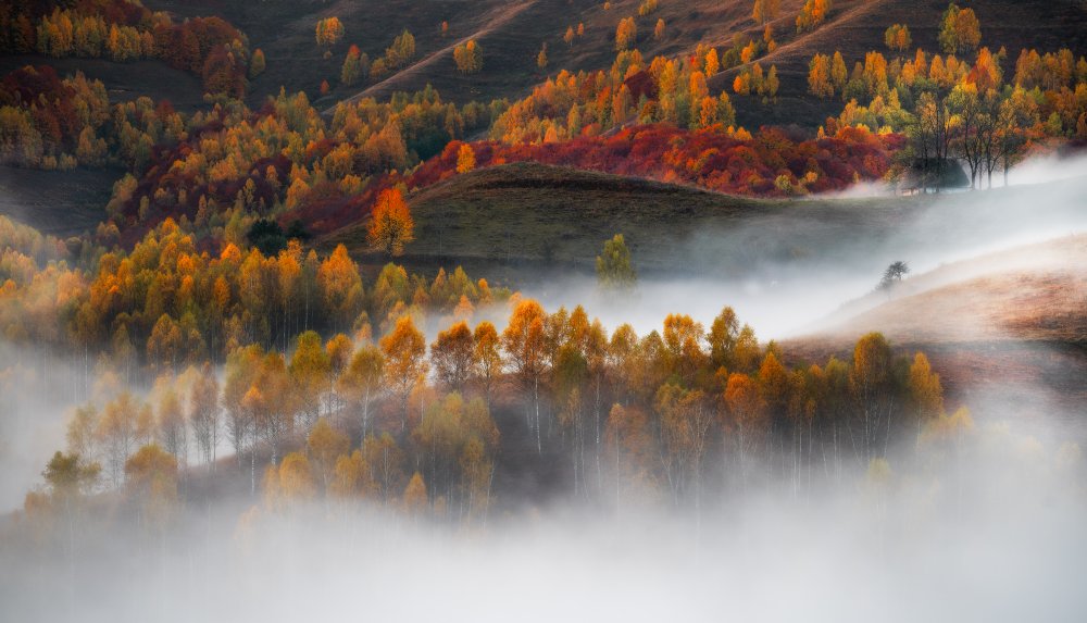Flowing mist von Stefan Hogea
