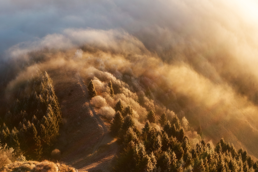 Morning tale von Stefan Miron