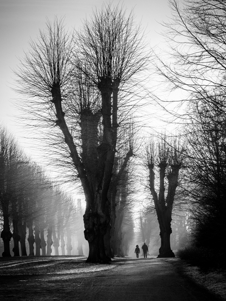 Winter Morning von Stefan Nielsen