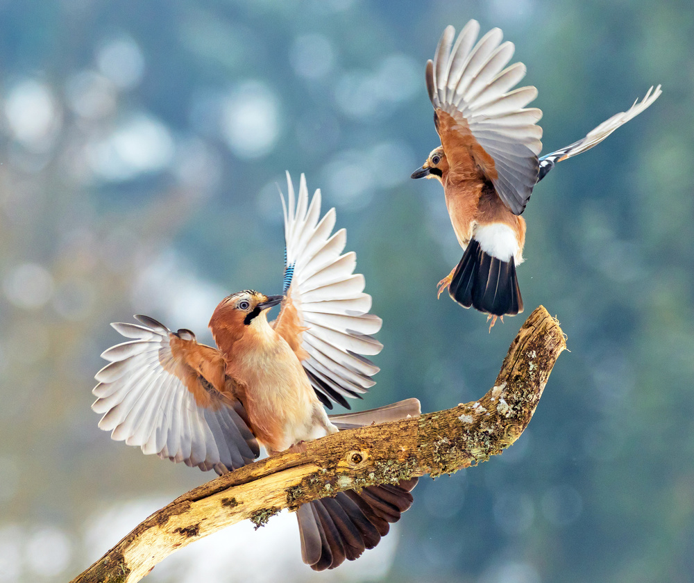 And Action von Stefan Völkel