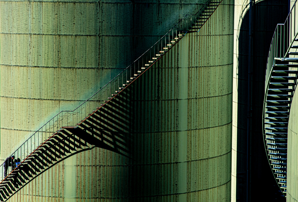 Painter von Stefano Carnevale