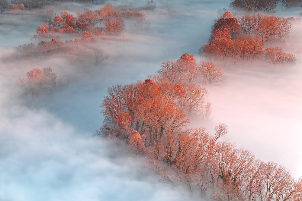 The soul of the river von Stefano Oppioni