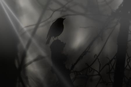 Resistance between the lines