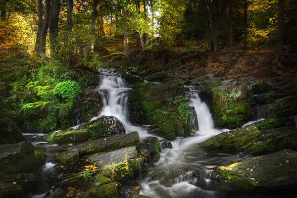Herbst am Wasserfall von Steffen  Gierok