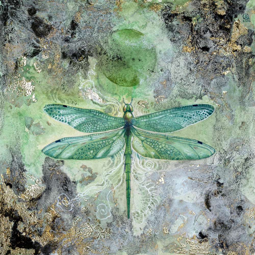 Transformation von Stephanie Law