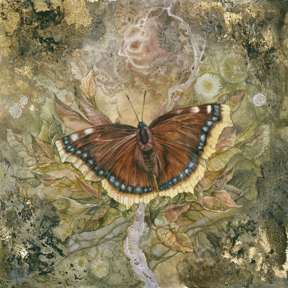 Mourning Cloak Butterfly von Stephanie Law