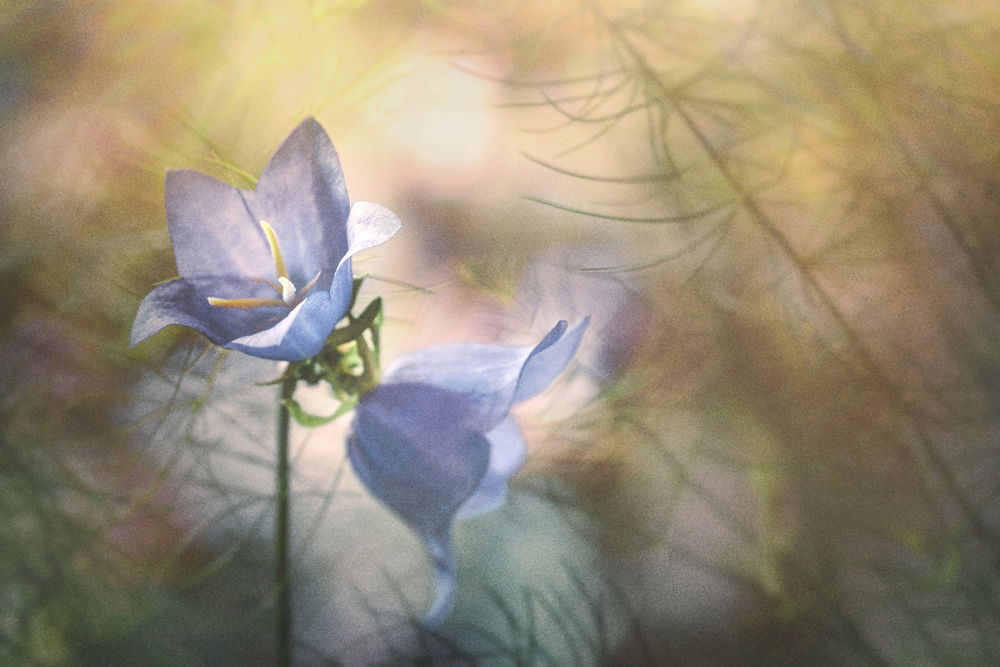 untitledl von Stephen Clough