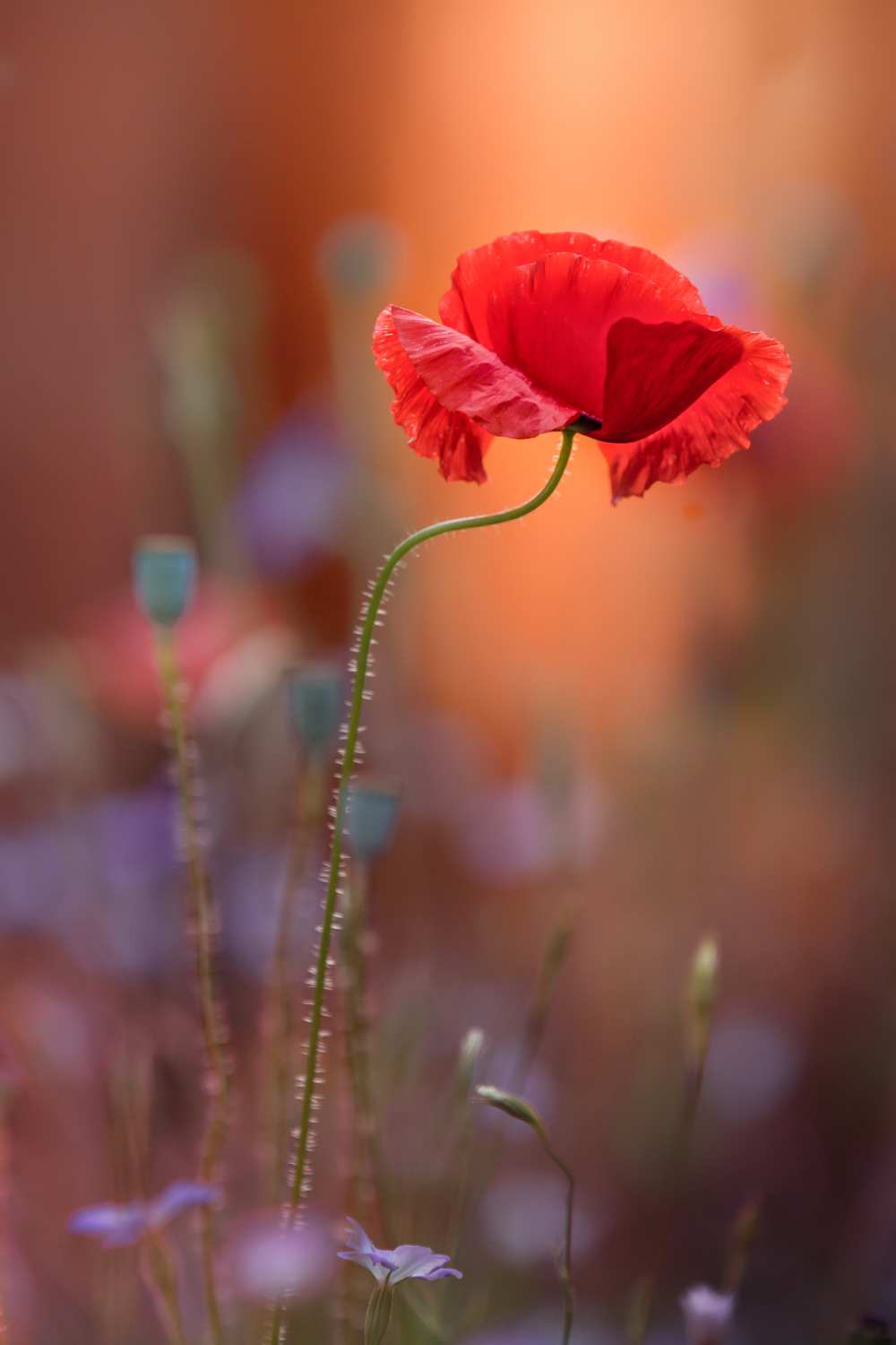 At the end of the day. von Steve Moore