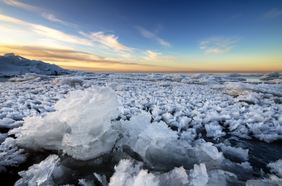 Growing razor blades von Steve Sunabacka