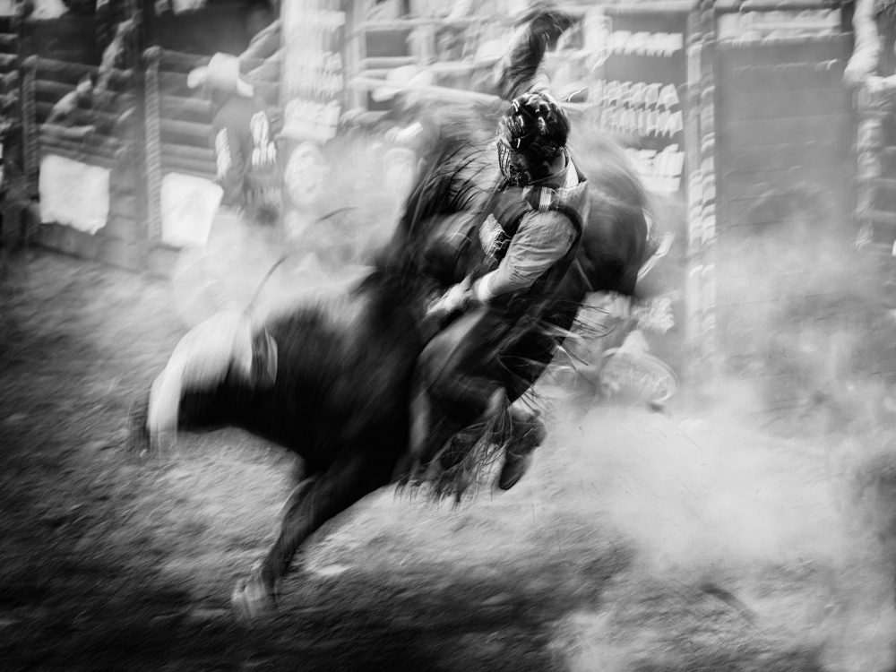 Bull Riding von Steven Zhou
