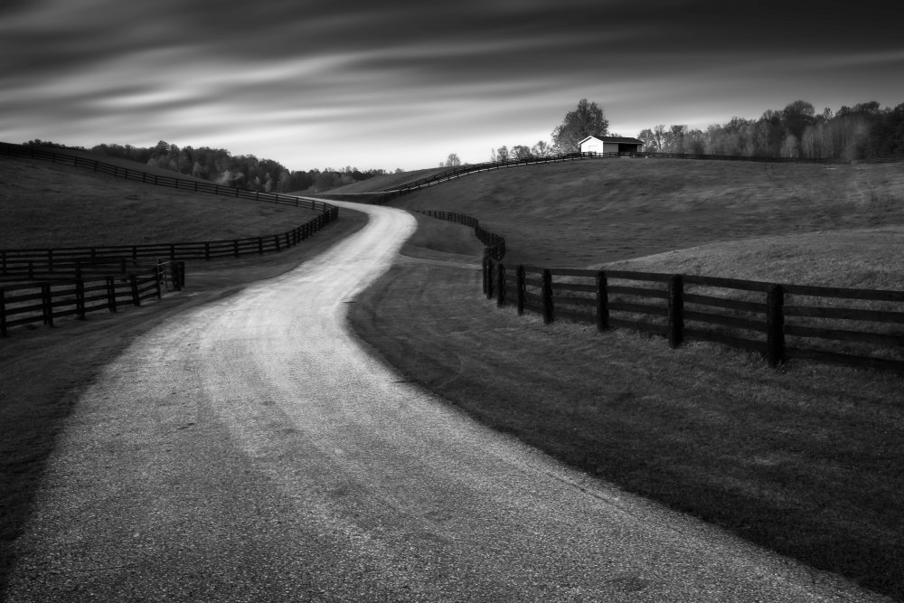 Silence Before Sunset von Steven Zhou