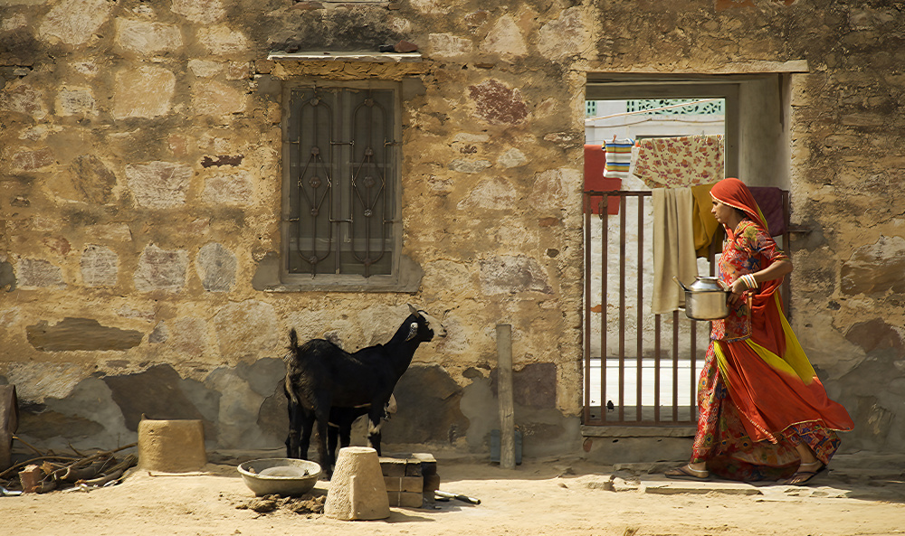 Rajasthani woman von Subhash Sapru