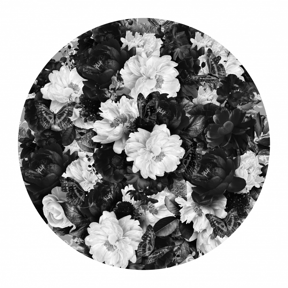 Bowie Blooms Black &amp; White von Sue Skellern