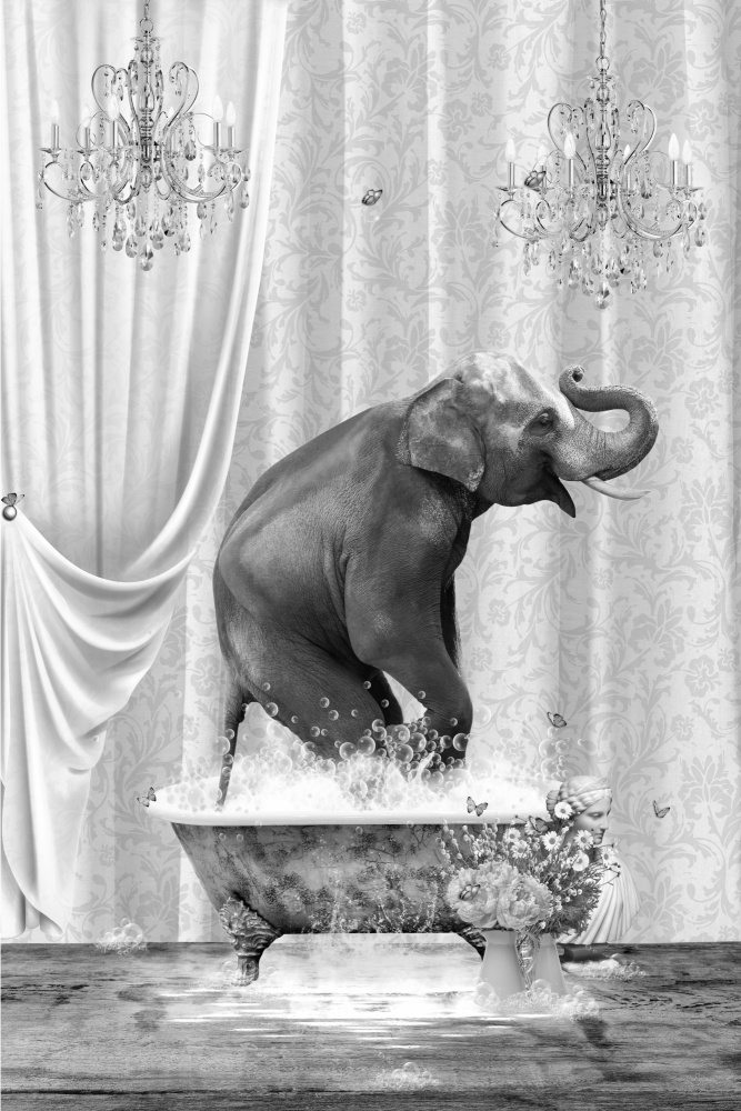 Elephant &amp; Bubbles Black &amp; White von Sue Skellern