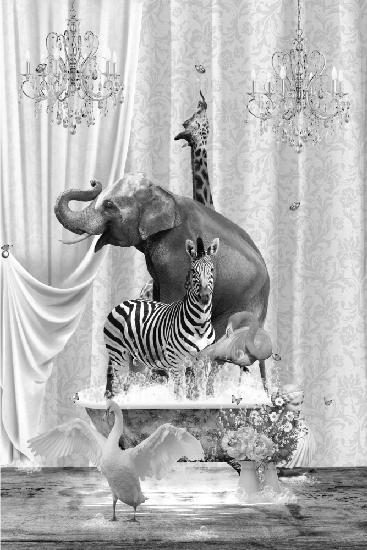 Family Time &amp; Bubbles Black &amp; White