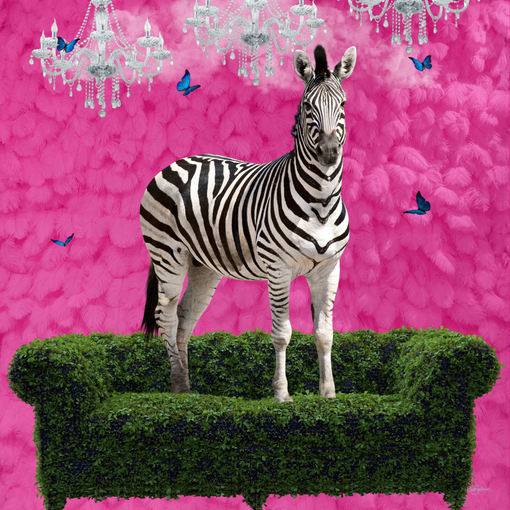 Free Spirited Zebra on a Green Settee von Sue Skellern