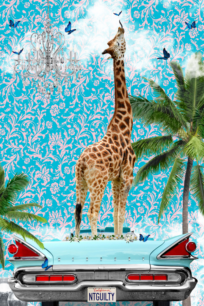 Giraffe California Dream von Sue Skellern