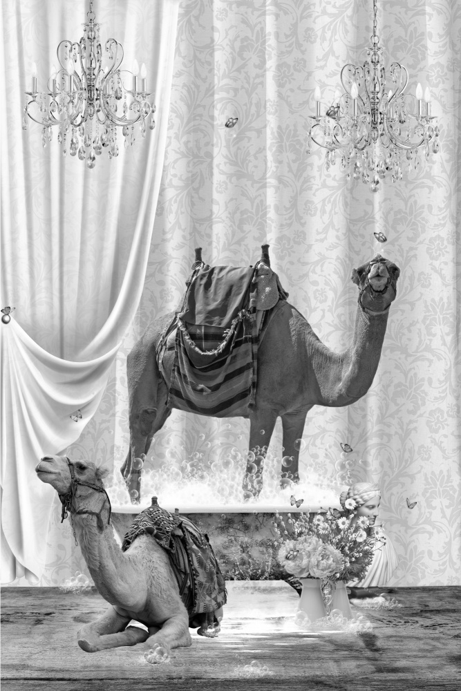 Camels &amp; Bubbles Black &amp; White von Sue Skellern