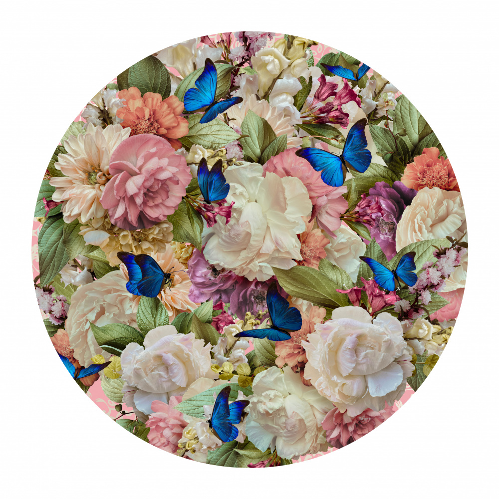 Morning Dream von Sue Skellern