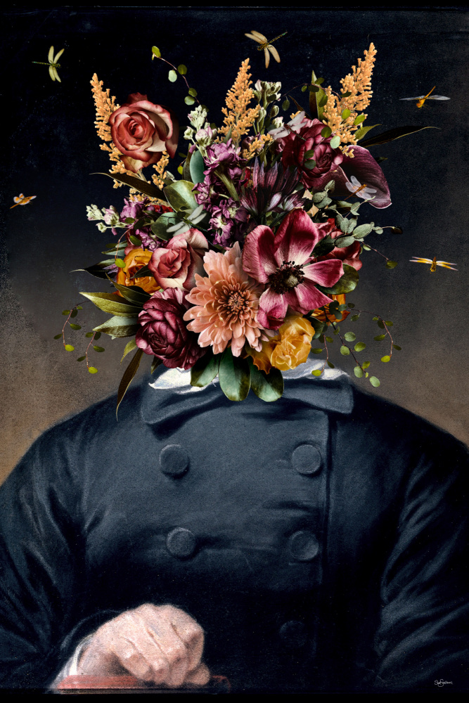 Sir Blackshirt von Sue Skellern